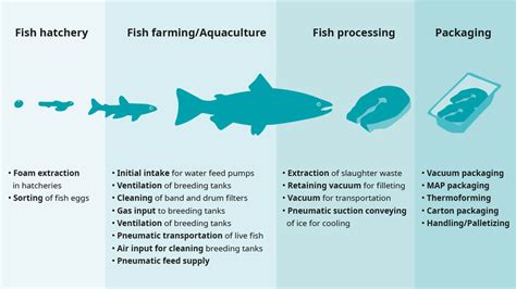 Key Techniques in Fish Culture .